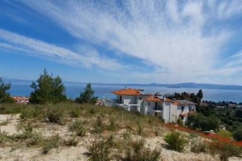 11444m² Land in Chalkidiki, Greece No. 108498 1