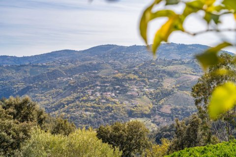 4 bedrooms Villa in Peymeinade, France No. 67262 16