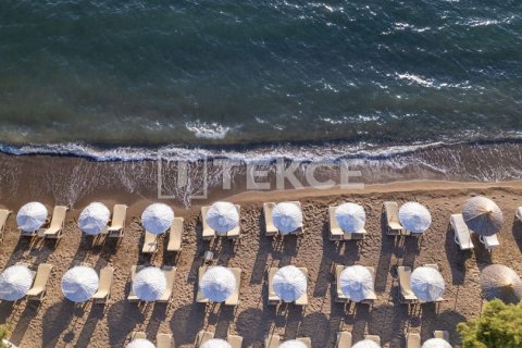 5 bedrooms Villa in Phi Dien, Vietnam No. 14654 19