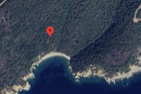 15000m² Land in Chalkidiki, Greece No. 58175 2