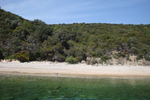 15000m² Land in Chalkidiki, Greece No. 58175 1