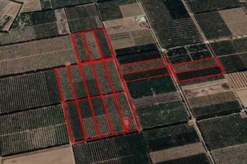 Commercial property in Kolossi, Cyprus No. 35743 1