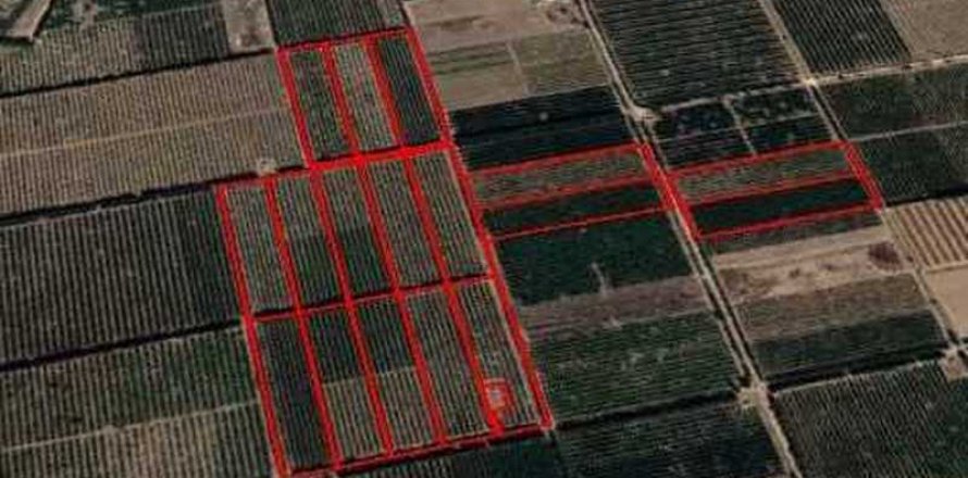 Commercial property in Kolossi, Cyprus No. 35743