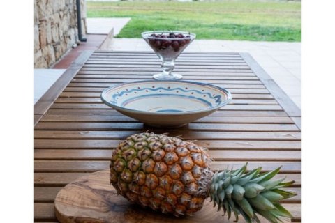 3 bedrooms Maisonette in Chalkidiki, Greece No. 108981 14