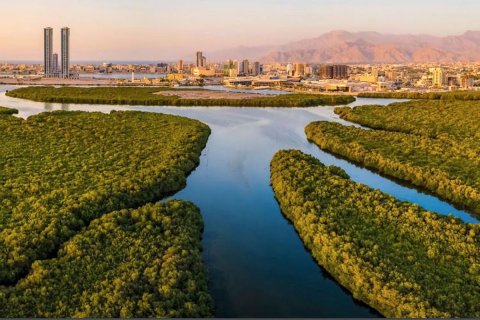 45m² Apartment in My Xuan, Vietnam No. 6057 6