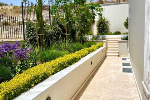 5 bedrooms Villa in Mesa Geitonia, Cyprus No. 77948 6