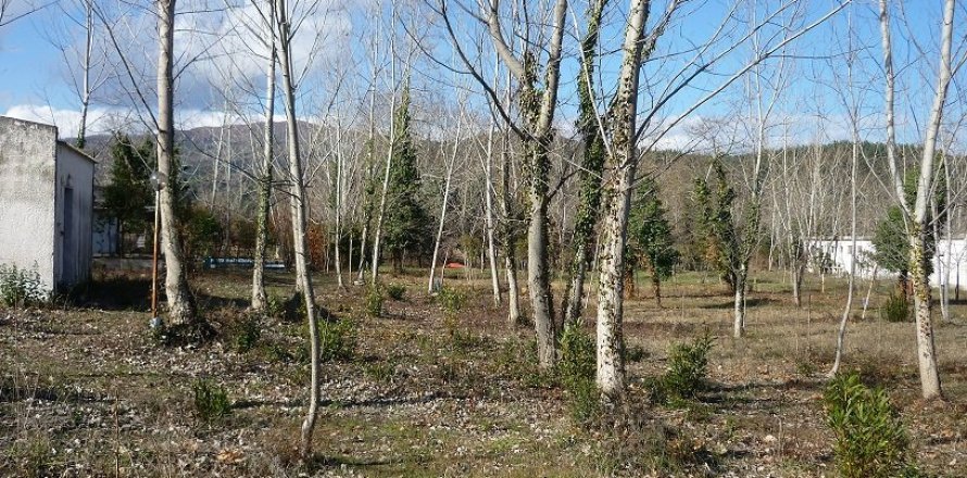 262m² Commercial property in Chalkidiki, Greece No. 58308