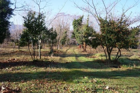 262m² Commercial property in Chalkidiki, Greece No. 58308 6