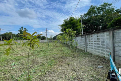 Land in Chiang Mai, Thailand No. 97865 4