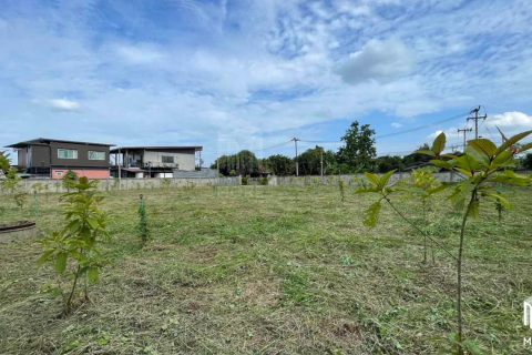 Land in Chiang Mai, Thailand No. 97865 5