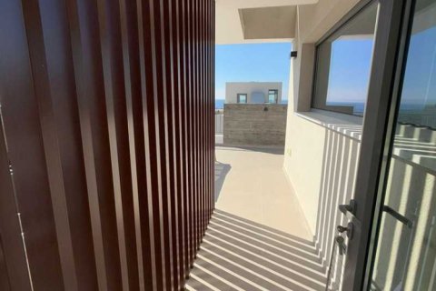 3 chambres Villa à Kissonerga, Cyprus No. 78642 9