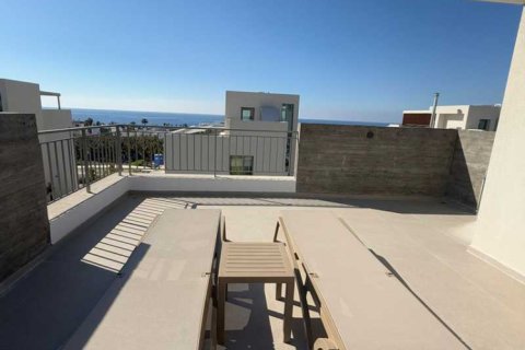 3 chambres Villa à Kissonerga, Cyprus No. 78642 4