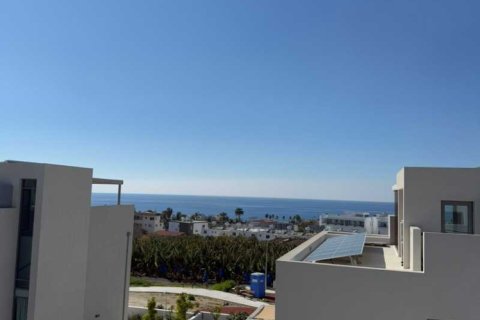 3 chambres Villa à Kissonerga, Cyprus No. 78642 13