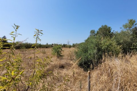5000m² Land in Thermi, Greece No. 109379 4