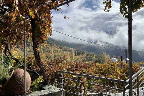 Вилла с 2 спальнями в Лимассол, Кипр №30670 7