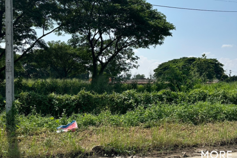 Land in Chiang Mai, Thailand No. 97872 14