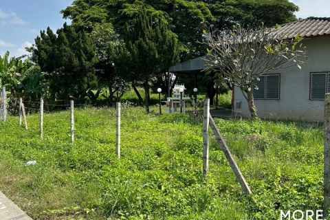 Land in Chiang Mai, Thailand No. 97872 15