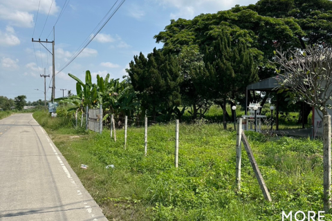 Land in Chiang Mai, Thailand No. 97872 16