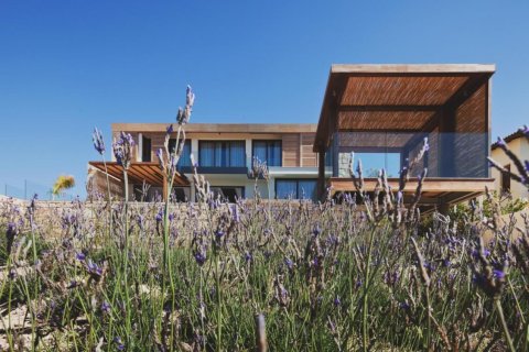 Studio Villa in Paphos, Cyprus No. 106978 2