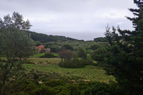 Land en Zakynthos, Greece No. 24585 3