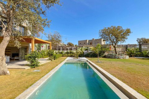 4 dormitorios Villa en Phi Dien, Vietnam No. 70227 28