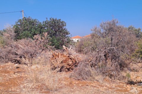 2598m² Land en Chania, Greece No. 81507 6