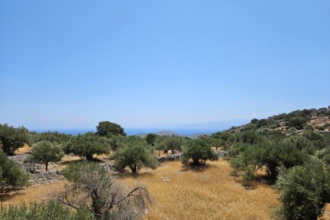 2610m² Land in Agios Nikolaos, Greece No. 107417 4