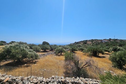 2610m² Land in Agios Nikolaos, Greece No. 107417 3