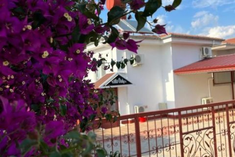 6 rooms Apartment in Lien Chieu, Vietnam No. 22162 4