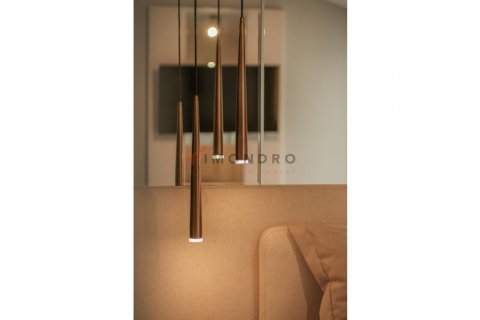 Studio Apartment in Thuy Nguyen, Vietnam No. 98399 29