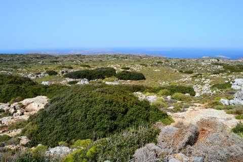 1116000m² Land in Sitia, Greece No. 109629 2