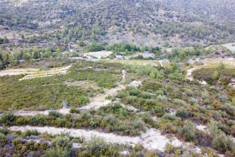 Commercial property in Agios Mamas, Cyprus No. 66053 2