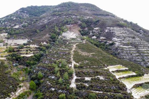 Commercial property in Agios Mamas, Cyprus No. 66053 3