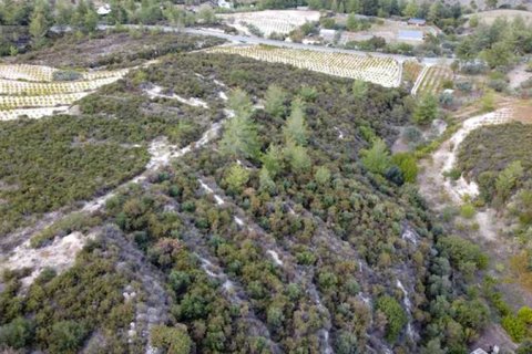 Commercial property in Agios Mamas, Cyprus No. 66053 4