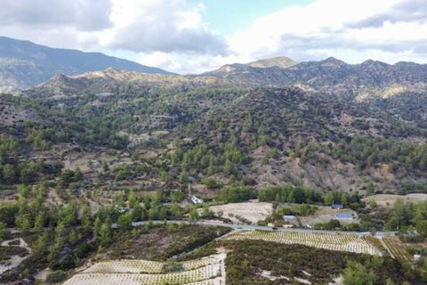 Commercial property in Agios Mamas, Cyprus No. 66053 1