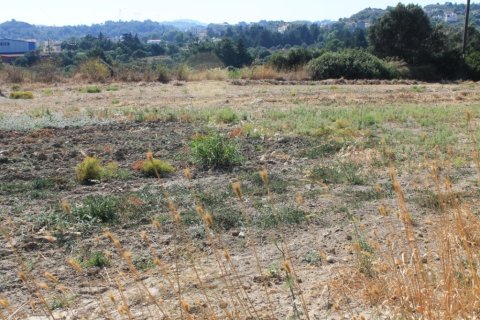 35260m² Land à Rhodes, Greece No. 60182 2
