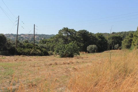 35260m² Land à Rhodes, Greece No. 60182 1