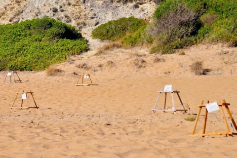 Land in Zakynthos, Greece No. 24786 10