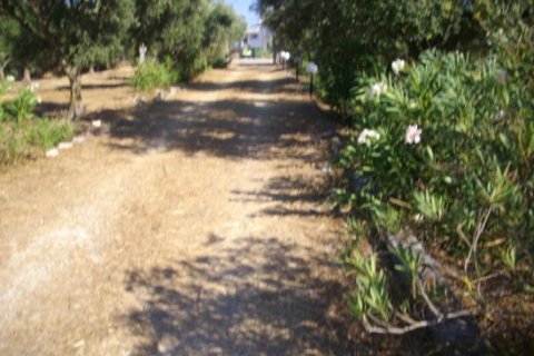 5 bedrooms House in Zakynthos, Greece No. 24715 14