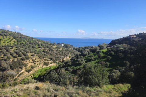 Земельный участок 12329м² в Гази, Греция №122805 13