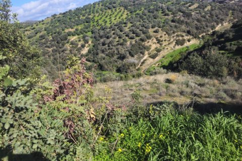 Земельный участок 12329м² в Гази, Греция №122805 4