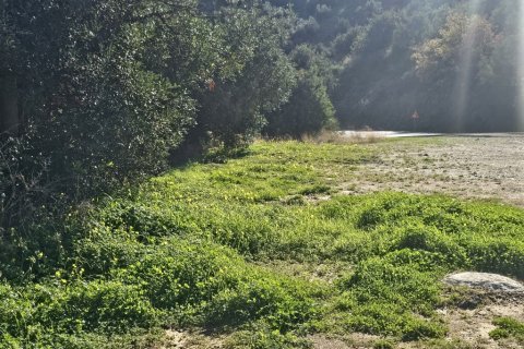 Земельный участок 12329м² в Гази, Греция №122805 6