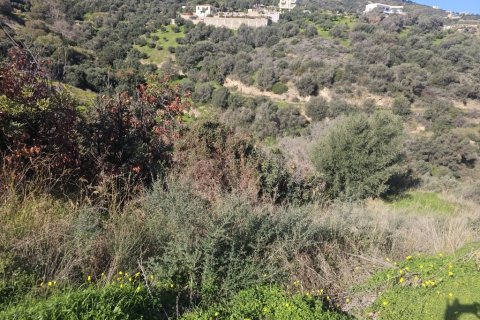 Земельный участок 12329м² в Гази, Греция №122805 3