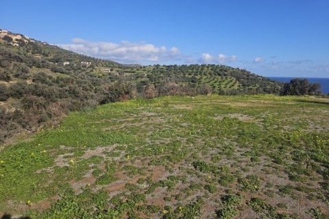 Земельный участок 12329м² в Гази, Греция №122805 2