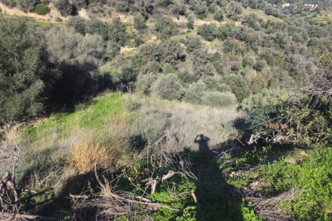 Земельный участок 12329м² в Гази, Греция №122805 9