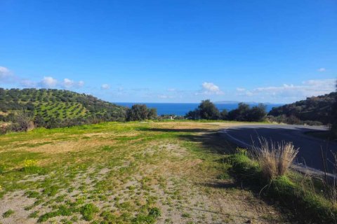 Земельный участок 12329м² в Гази, Греция №122805 10