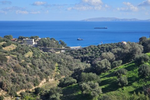 Земельный участок 12329м² в Гази, Греция №122805