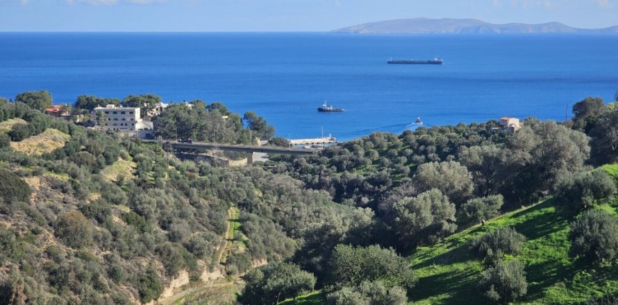 Земельный участок 12329м² в Гази, Греция №122805