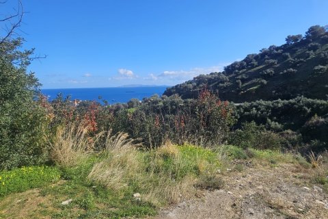 Земельный участок 12329м² в Гази, Греция №122805 7