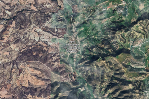 Commercial property à Agios Theodoros, Cyprus No. 82870 1